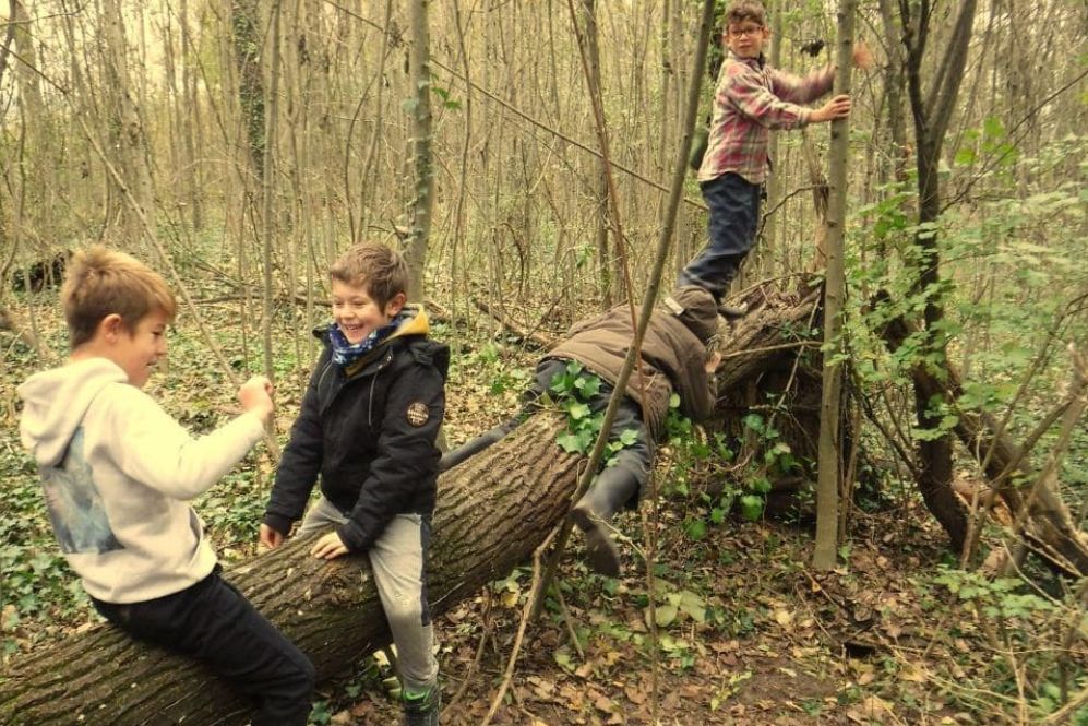 pédagogie par la nature-forêt-enfants-enthousiasme-Morbihan