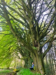 chant-improvisé-nature-Morbihan-happyartmonie-chant spontané